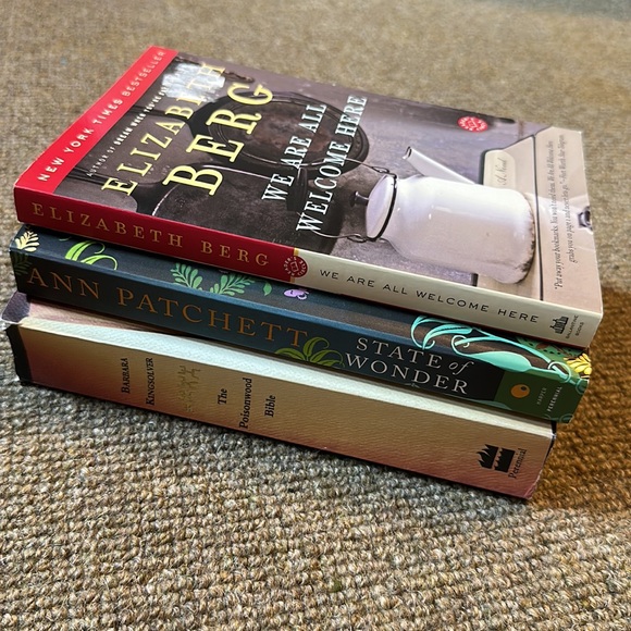 Three paperback novels by Barbara Kingsolver, Ann Patchett and Elizabeth Berg - Picture 2 of 4